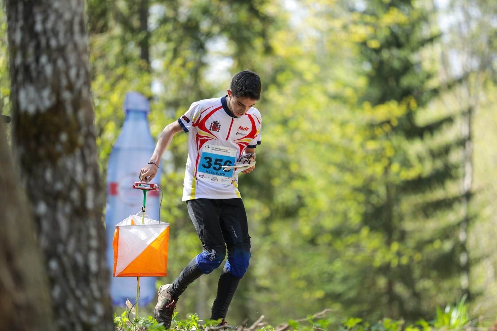 '21 World School Championship Orienteering postponed to September 2021 ...